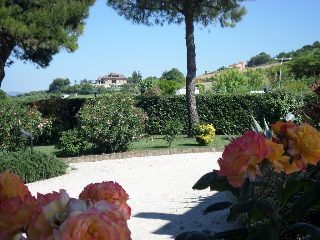 Bed And Breakfast " Il Tesoro Di Mario " Falconara Marittima Exterior photo