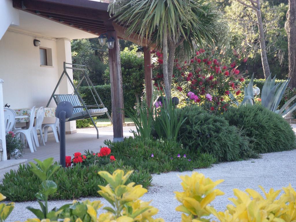 Bed And Breakfast " Il Tesoro Di Mario " Falconara Marittima Exterior photo