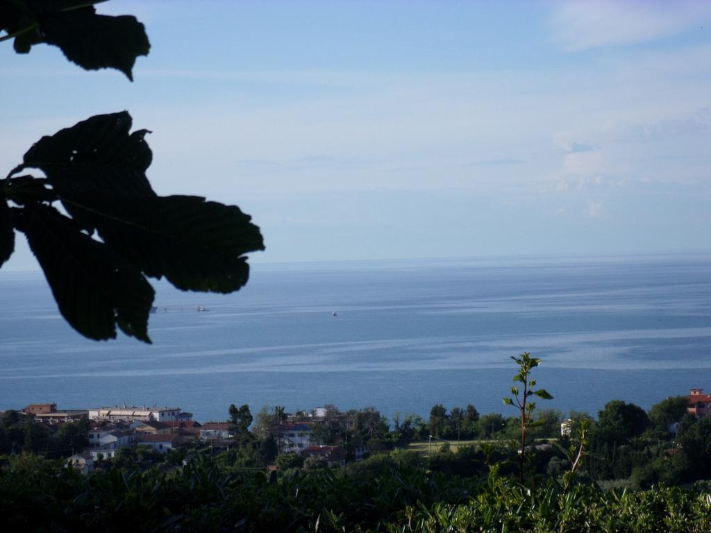 Bed And Breakfast " Il Tesoro Di Mario " Falconara Marittima Exterior photo