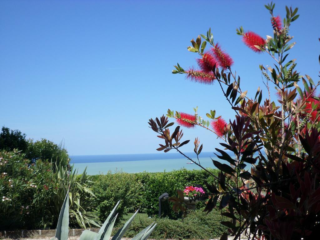 Bed And Breakfast " Il Tesoro Di Mario " Falconara Marittima Exterior photo